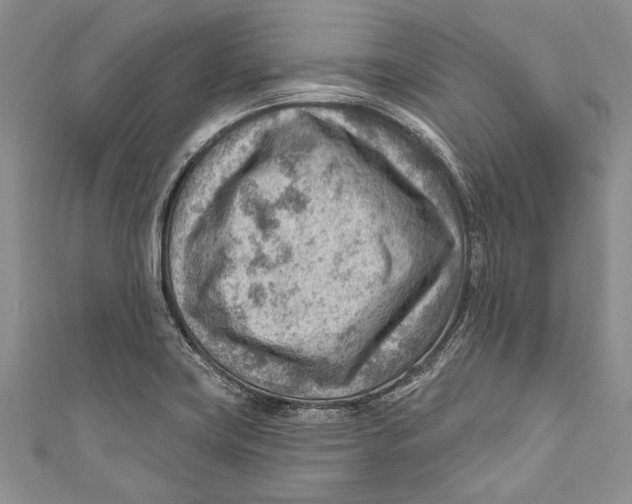 X0000111041419200907161335