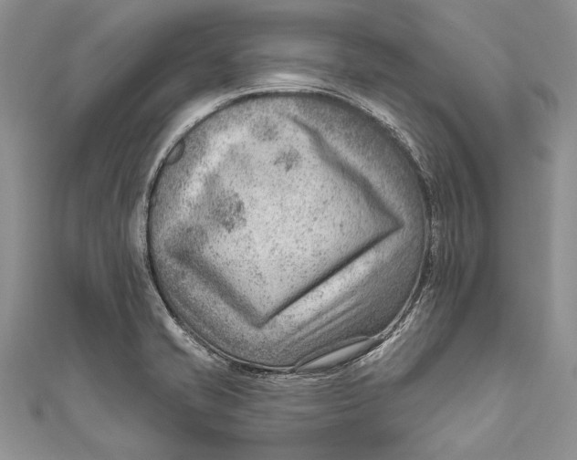 X0000111041421200907161336