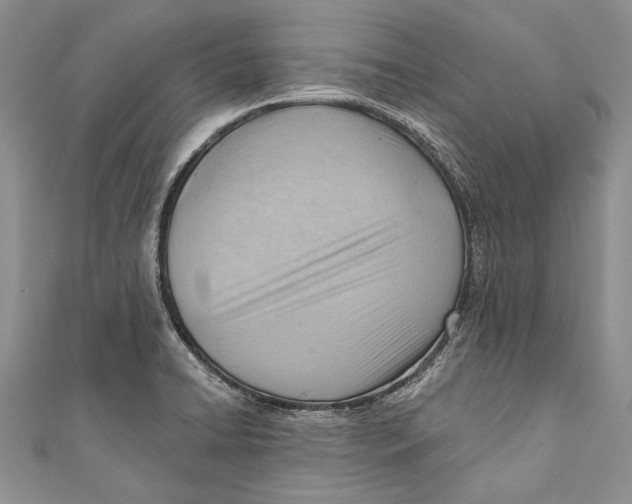 X0000111041422200907161336