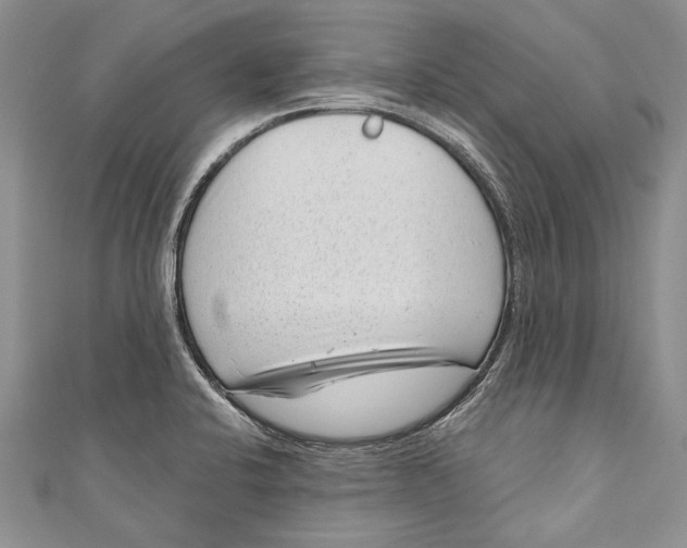 X0000111041424200907161336