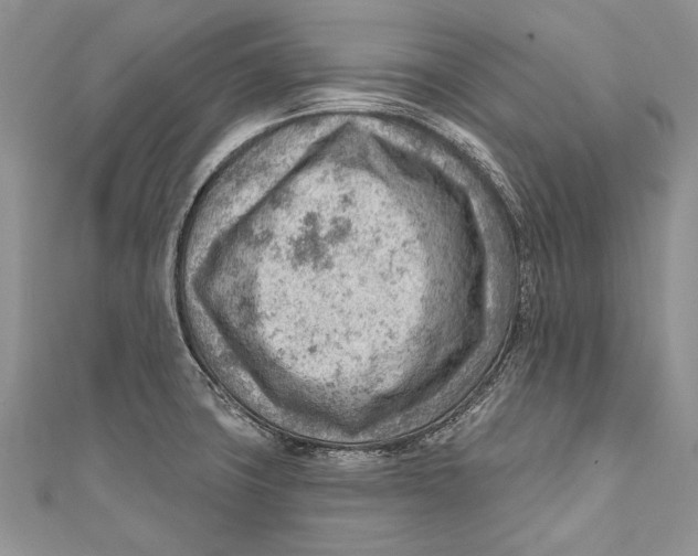 X0000111041427200907161336