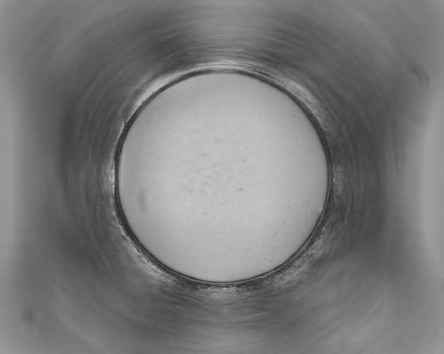 X0000111041428200907161336