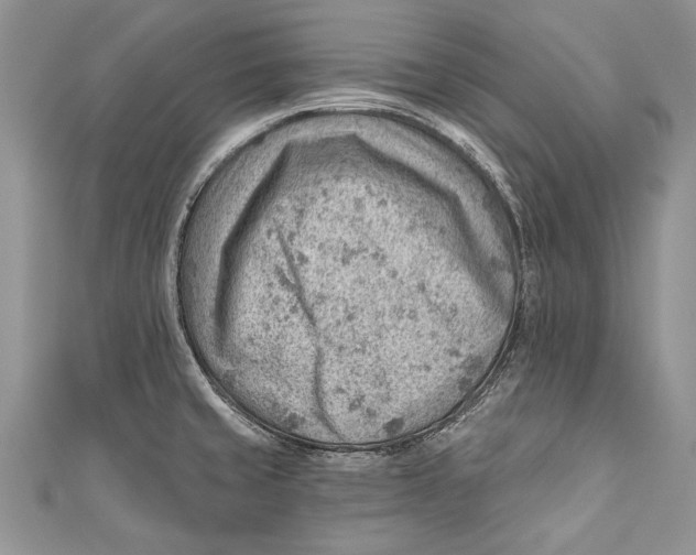 X0000111041429200907161336