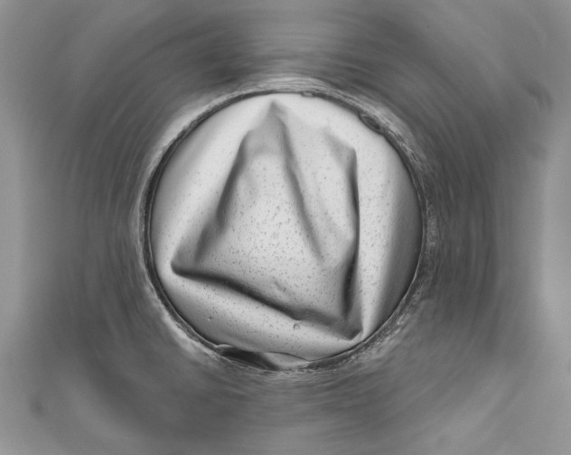 X0000111041430200907161336