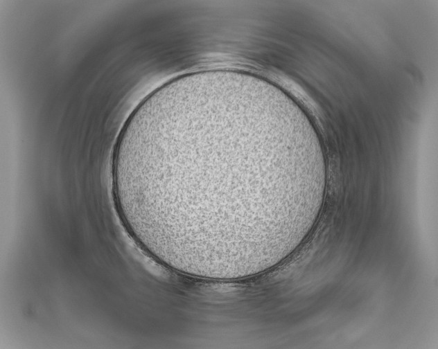 X0000111041431200907161336