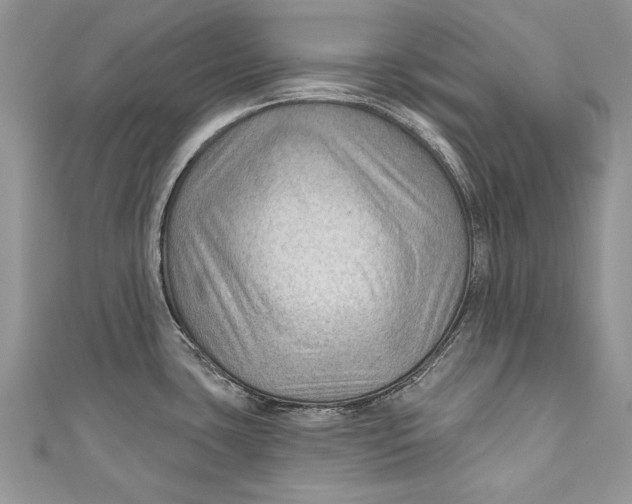 X0000111041435200907161336