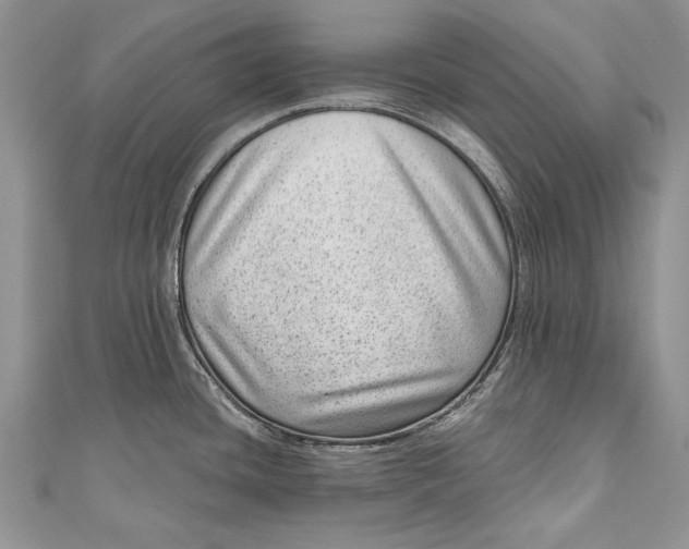 X0000111041436200907161336