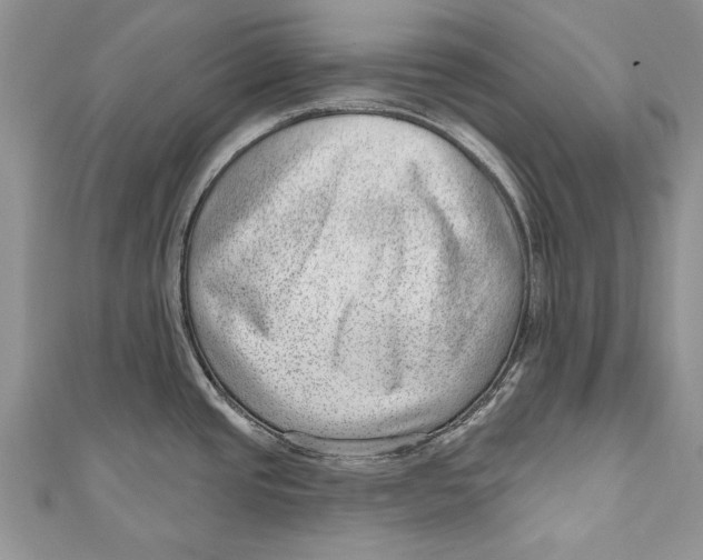 X0000111041437200907161336