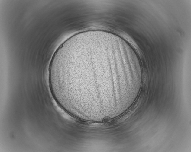 X0000111041439200907161336