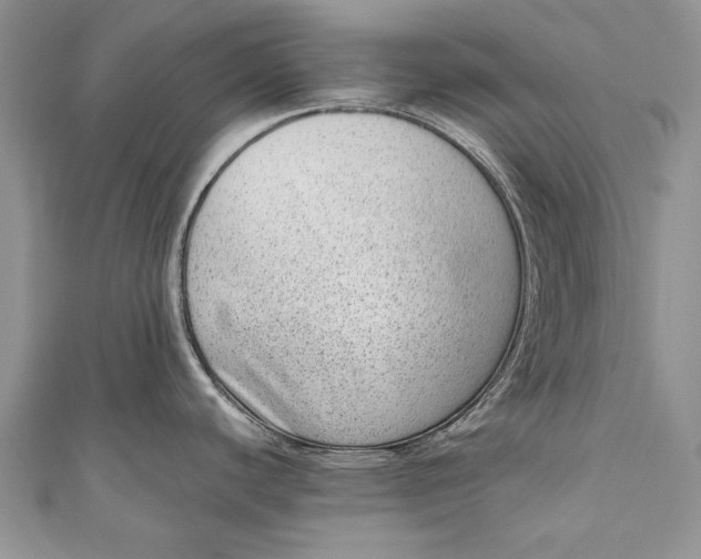 X0000111041440200907161336