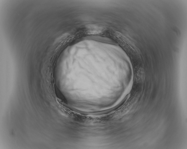 X0000111041441200907161335