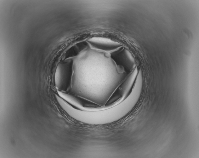 X0000111041445200907161335