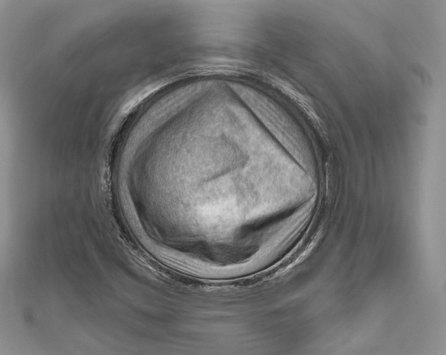 X0000111041453200907161335