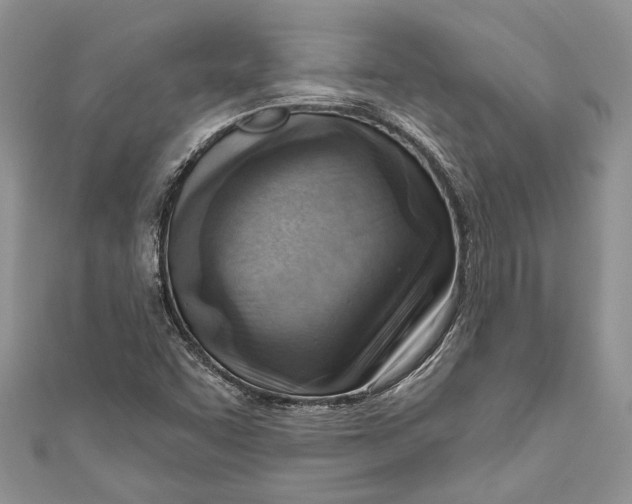 X0000111041455200907161335