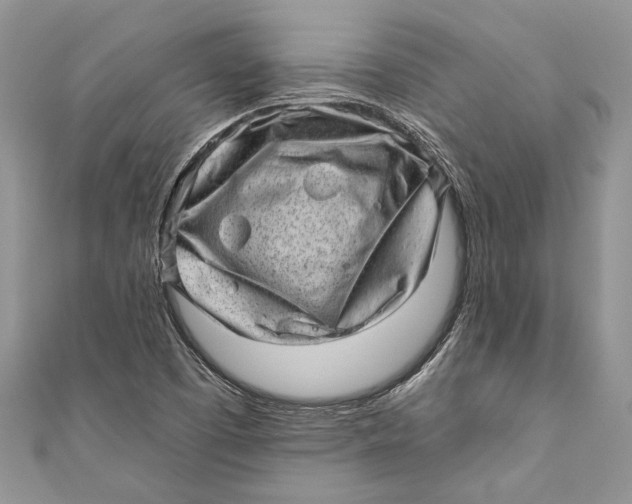 X0000111041457200907161335