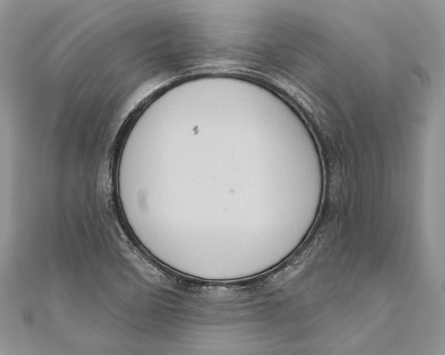 X0000111041458200907161335