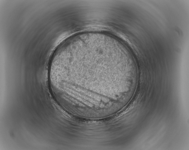 X0000111041459200907161335