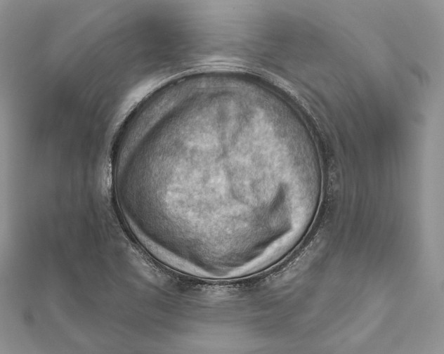 X0000111041461200907161335