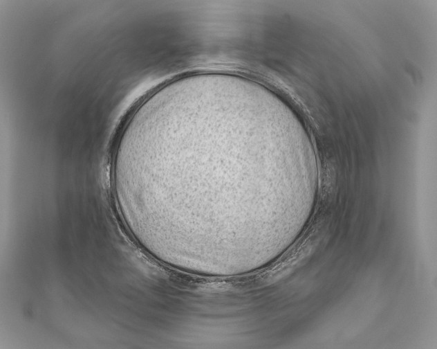 X0000111041462200907161335