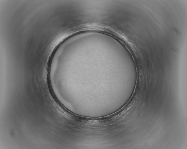 X0000111041463200907161335