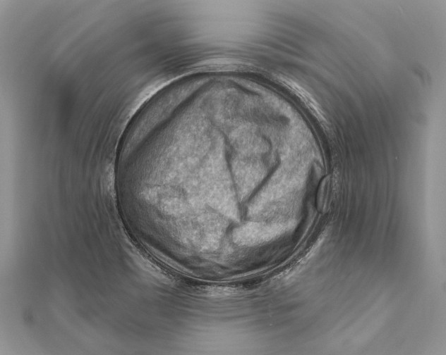 X0000111041465200907161335