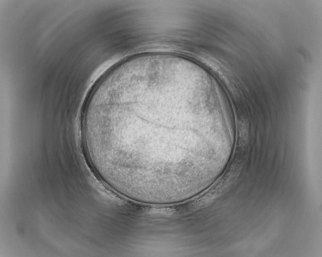 X0000111041466200907161335