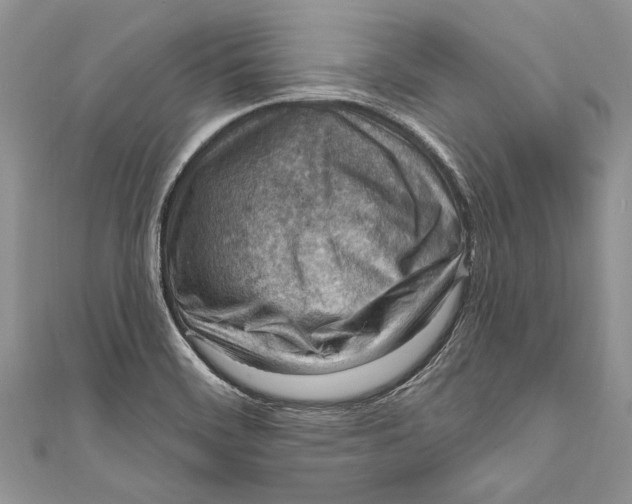 X0000111041468200907161335