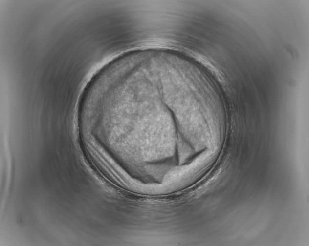 X0000111041469200907161335