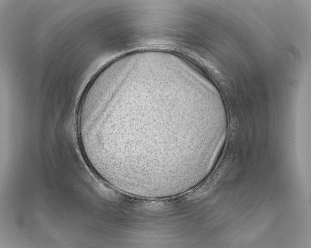 X0000111041470200907161335