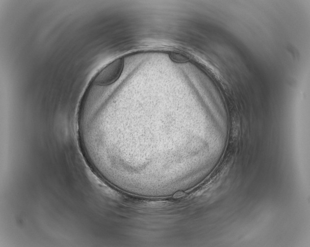 X0000111041471200907161335