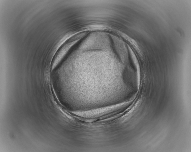 X0000111041473200907161335