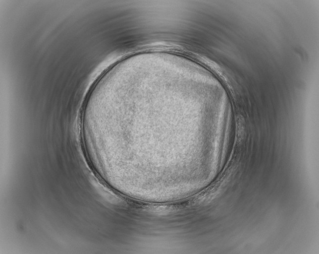 X0000111041474200907161335