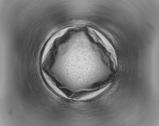 X0000111041475200907161335