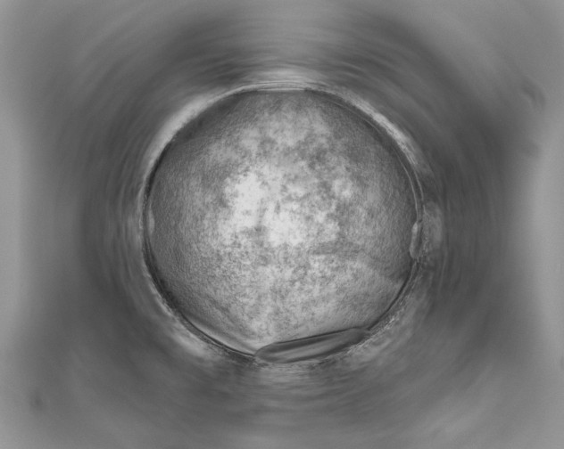 X0000111041477200907161335