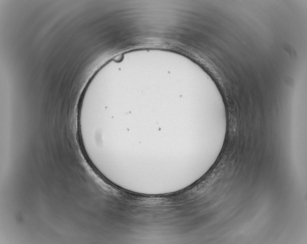 X0000111041479200907161335