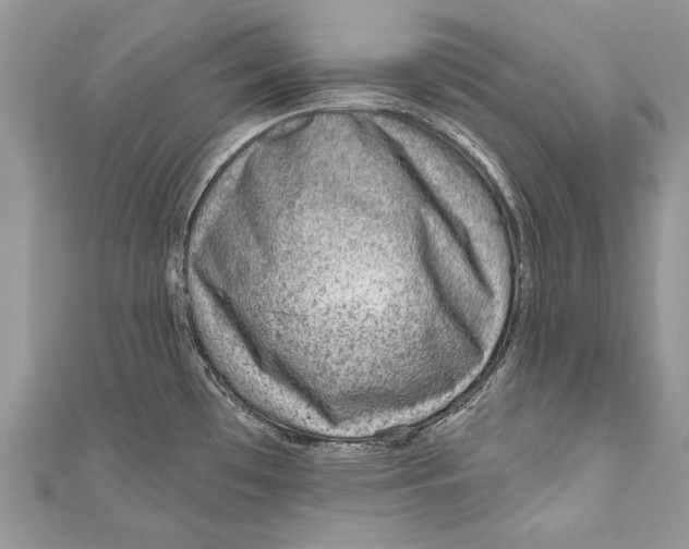 X0000111041481200907161335