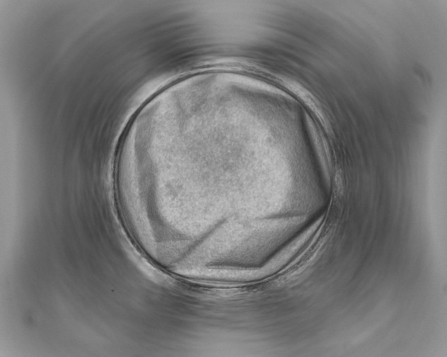 X0000111041482200907161335