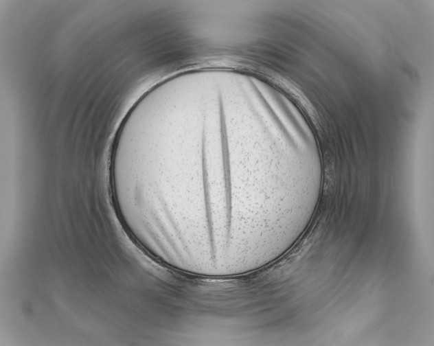 X0000111041483200907161335