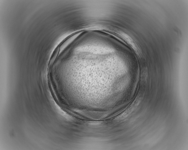 X0000111041484200907161335