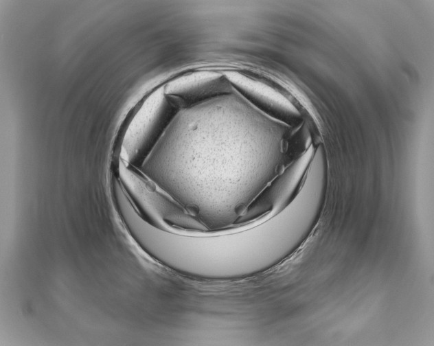 X0000111041485200907161335