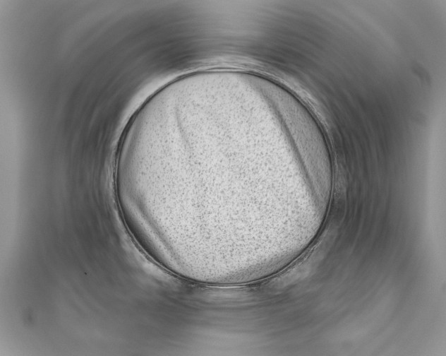 X0000111041486200907161335