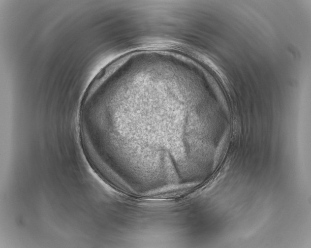 X0000111041487200907161335