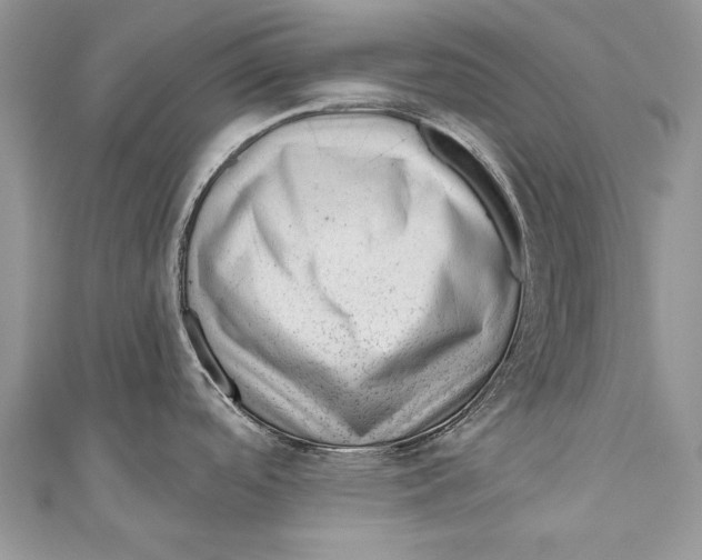 X0000111041488200907161335