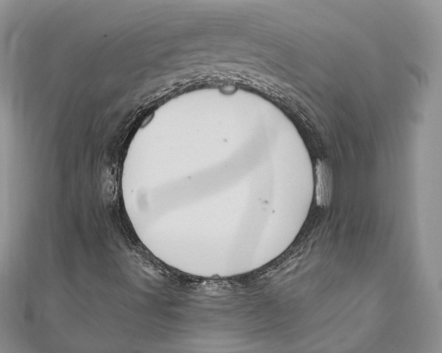 X0000111041491200907161334