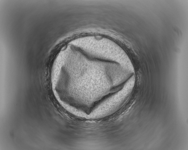 X0000111041494200907161334