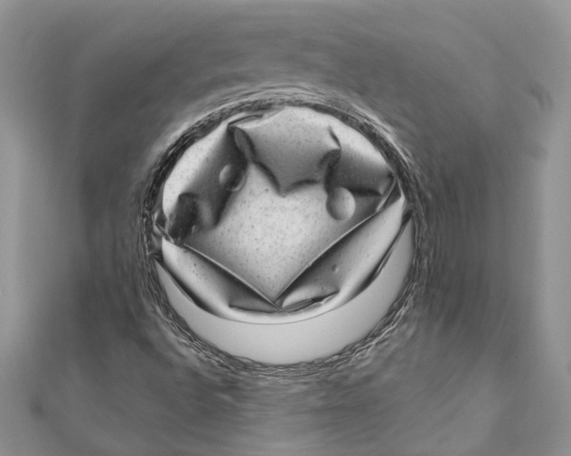 X0000111041496200907161334