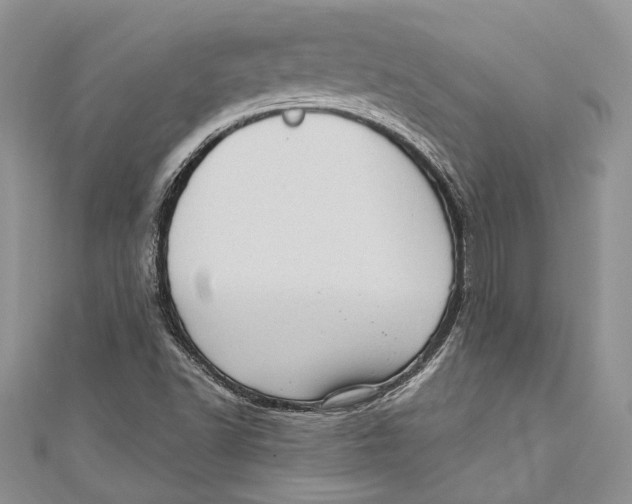 X0000111041502200907161334