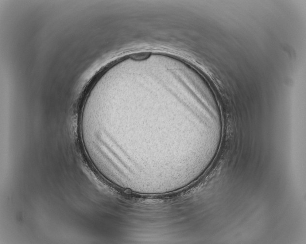 X0000111041503200907161334