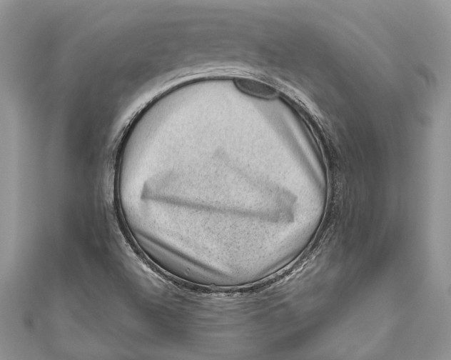 X0000111041504200907161334