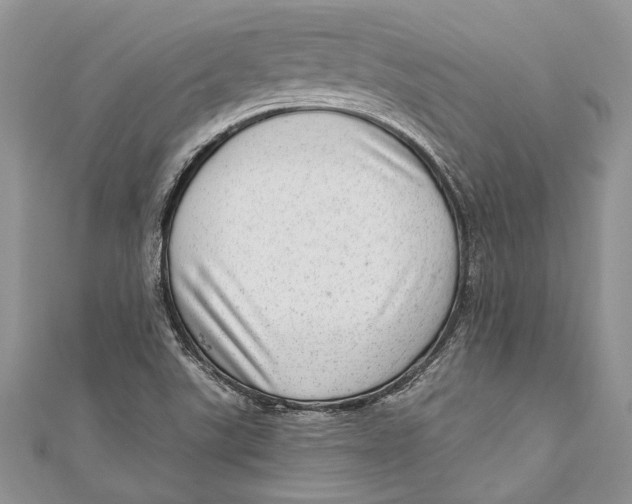 X0000111041507200907161334